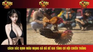 Màu Mạng Gà Đá